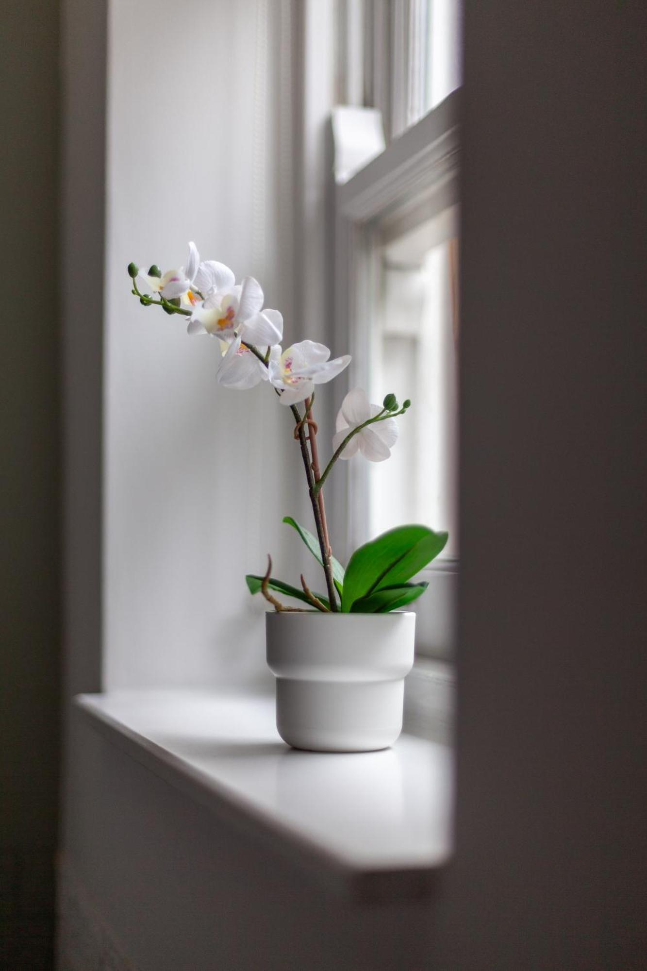 The Hackney Luxury Flat Apartment London Bagian luar foto